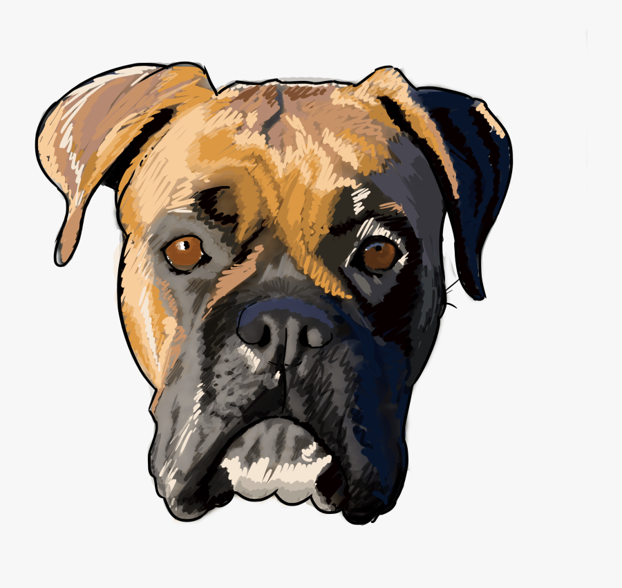 7 Why Are You A Boxer - Boxer, Transparent Clipart