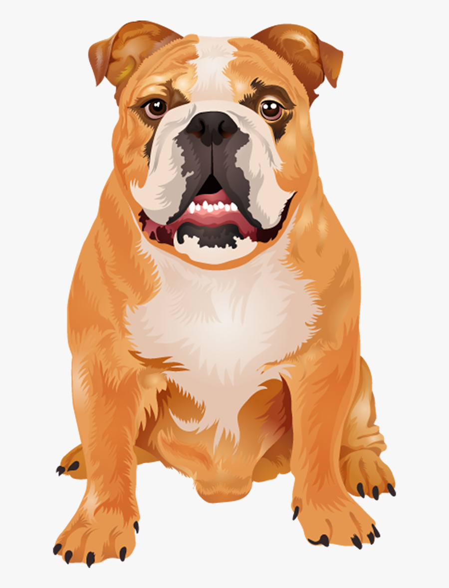 Dogs Vector Boxer - Bulldog Cute Vector Png, Transparent Clipart