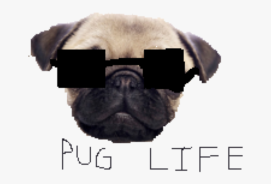 Pug Life Png Clipart - Png Pug Life, Transparent Clipart