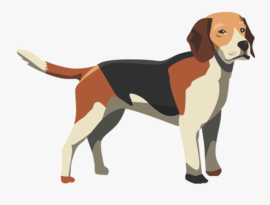 Anatomy Of A Dog Funny, Transparent Clipart