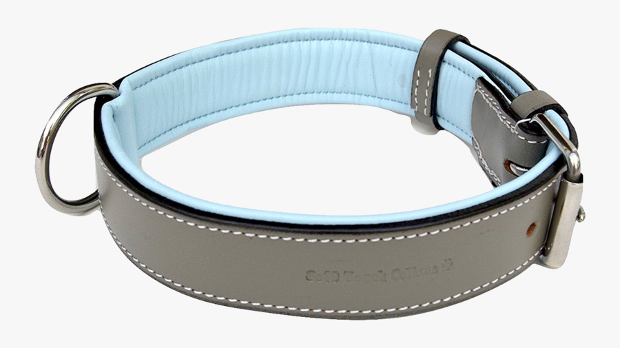 46183 - Grey And Blue Dog Collar, Transparent Clipart