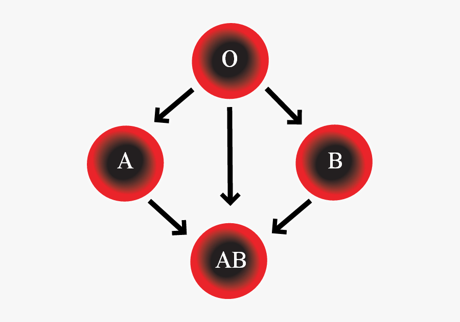 Clip Art Blood Type Compatibility Chart - Blood Types Transparent, Transparent Clipart