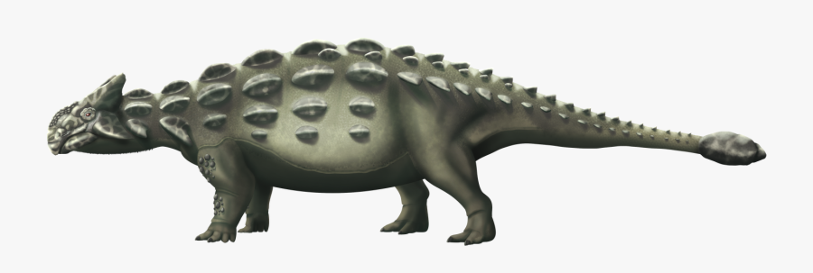 Free Download Dinosaur Clipart Stegosaurus Ankylosaurus - Ankylosaurus, Transparent Clipart