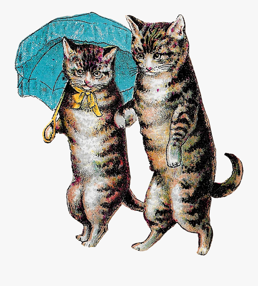 Victorian Cat Clipart - Victorian Cat Illustration, Transparent Clipart