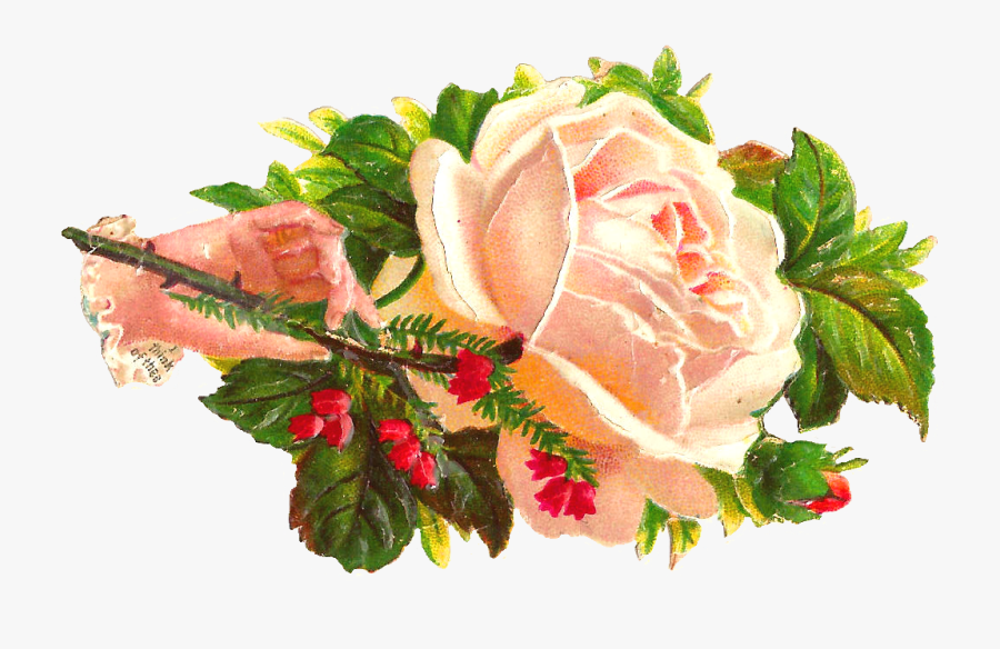Victorian Flowers Clipart - Roses Victorian Red And White, Transparent Clipart