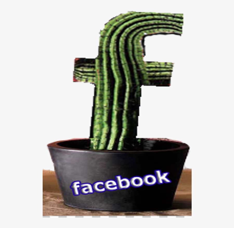 Email Address - Hola@mariachis - Ca - Weberocereus - Flowerpot, Transparent Clipart