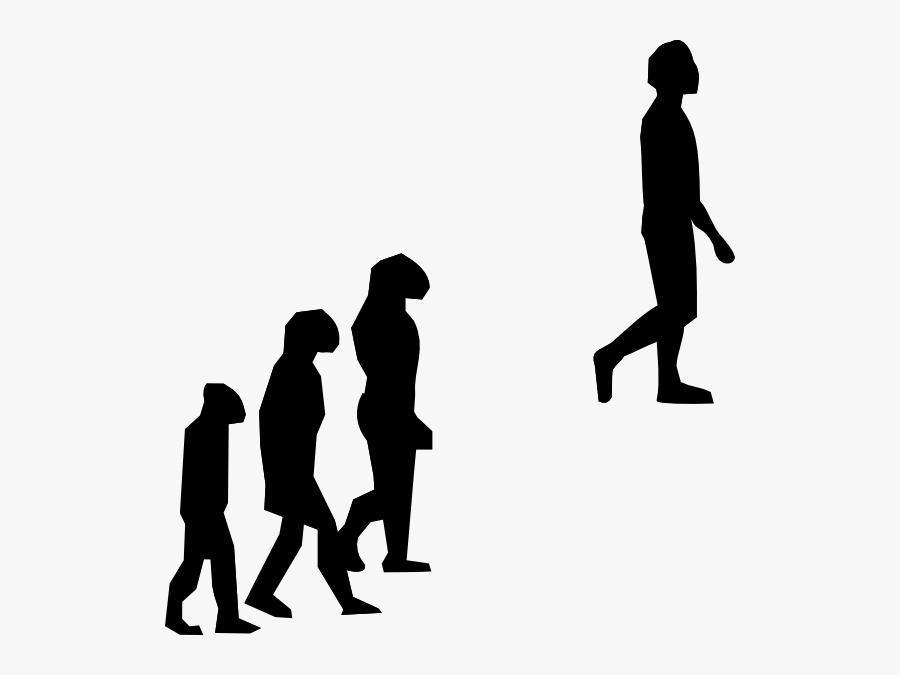 Human Evolution, Transparent Clipart
