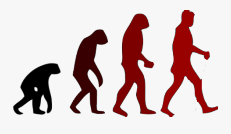 March Of Progress Human Evolution Neanderthal - Animals Change Over Time, Transparent Clipart