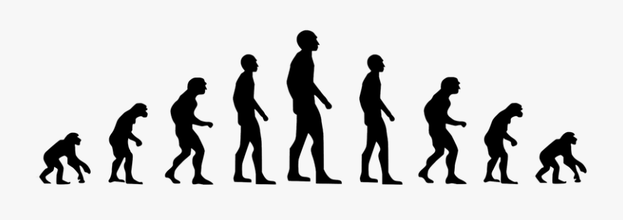 Evolution, Development, Forward, Darvin - Evolution Of Humans, Transparent Clipart