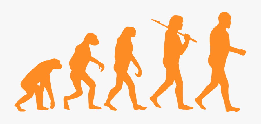 Evolution Of Man, Transparent Clipart