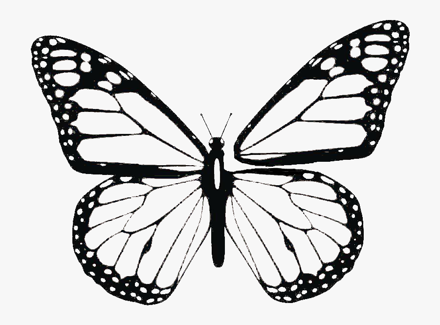 Wing Patterns Google Search - Monarch Butterfly Black And White, Transparent Clipart