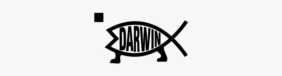 Darwin Evolution - Tortoise, Transparent Clipart