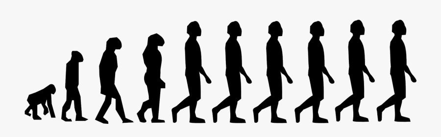 Human Evolution Part - Human Evolution, Transparent Clipart