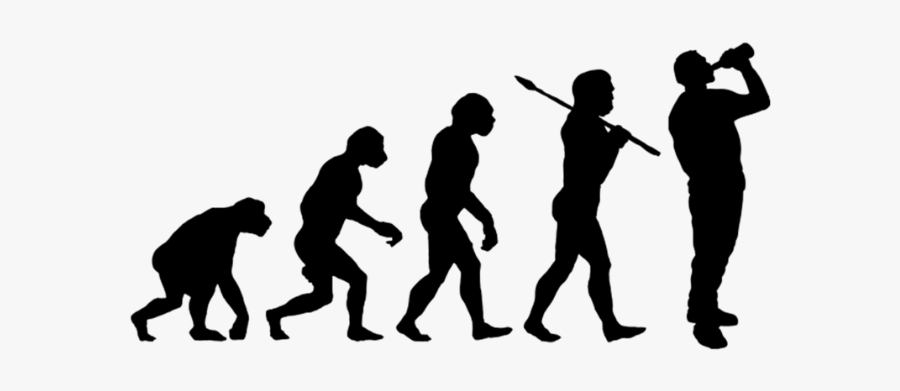 Clip Art The Beer Label By - Evolution Of Man Drinking, Transparent Clipart