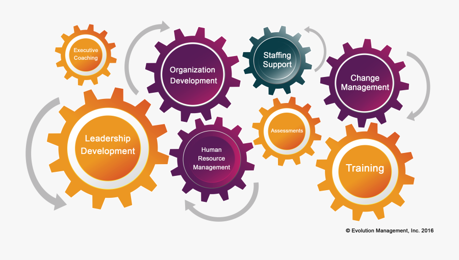 Culture Clipart Organizational Behavior, Transparent Clipart
