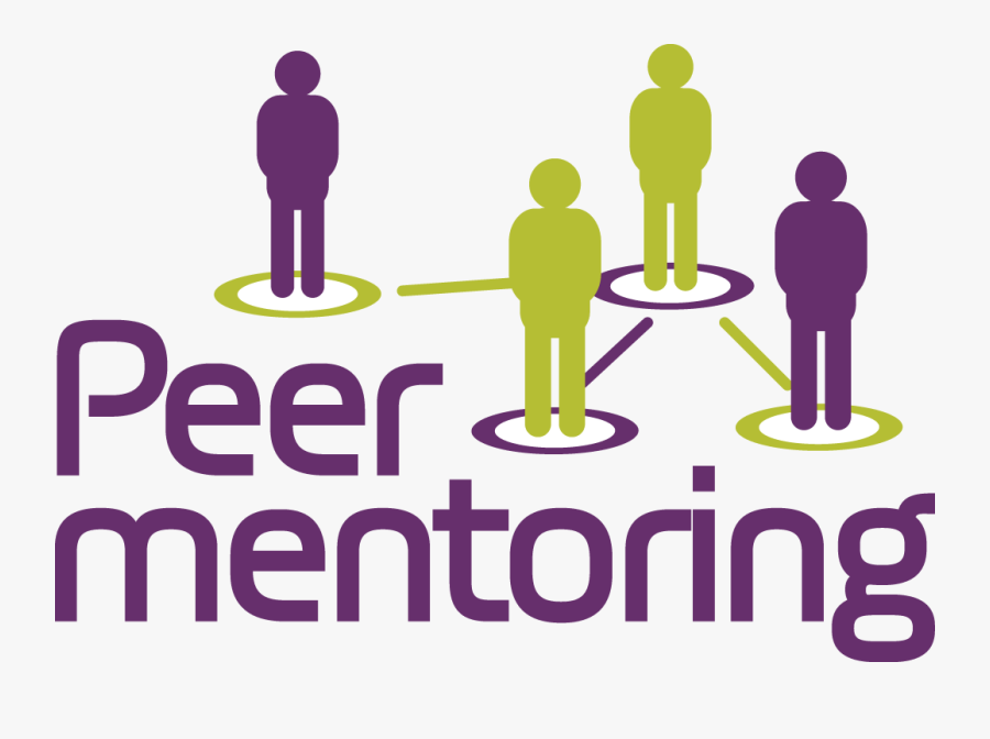 Peer Mentor - Peer To Peer Mentoring, Transparent Clipart