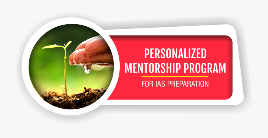 Liver, Transparent Clipart