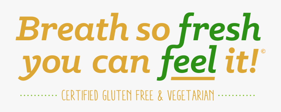 Index Of - Graphic Design, Transparent Clipart