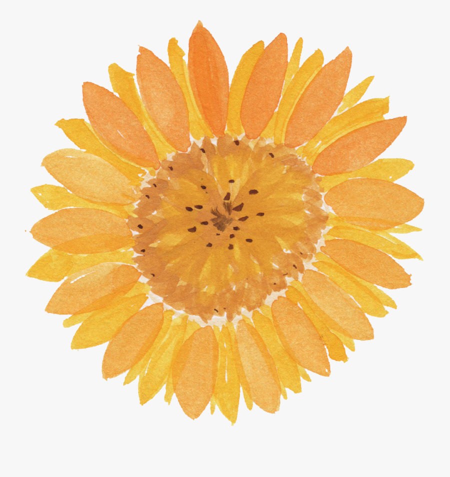 Transparent Onlygfx Com - Transparent Background Watercolor Sunflower Png, Transparent Clipart
