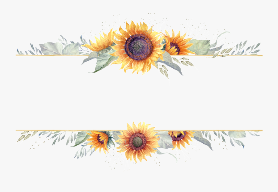 Sunflower Border Png - Transparent Background Sunflower Border, Transparent Clipart