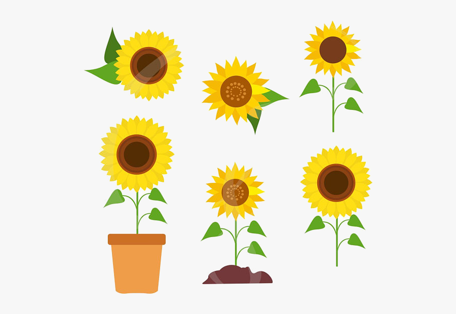Sunflower Clipart Transparent Png - Sonnenblumen Clipart, Transparent Clipart