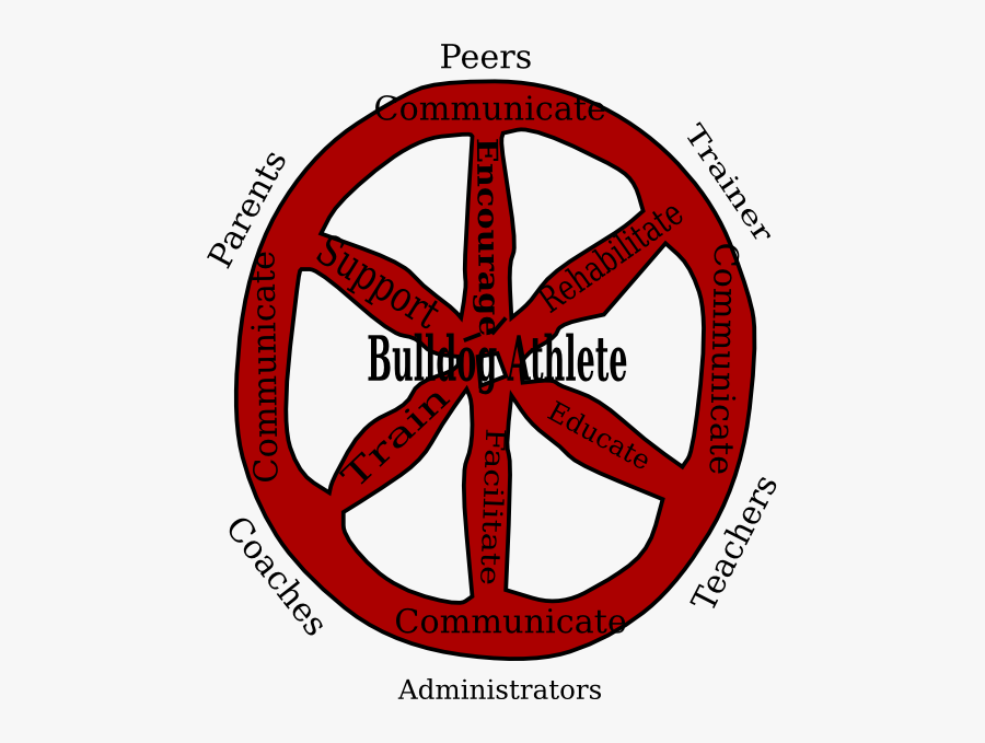 Circle, Transparent Clipart