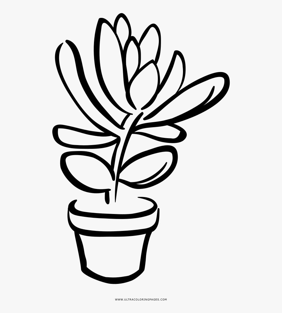 Collection Of Free Succulents Drawing Color Download - Succulent Clip Art Black And White, Transparent Clipart