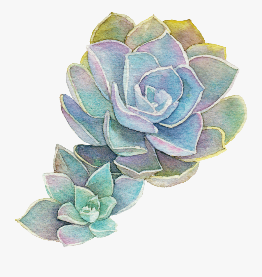 Acupuncture For Pregnancy - Watercolor Succulent Transparent Background, Transparent Clipart