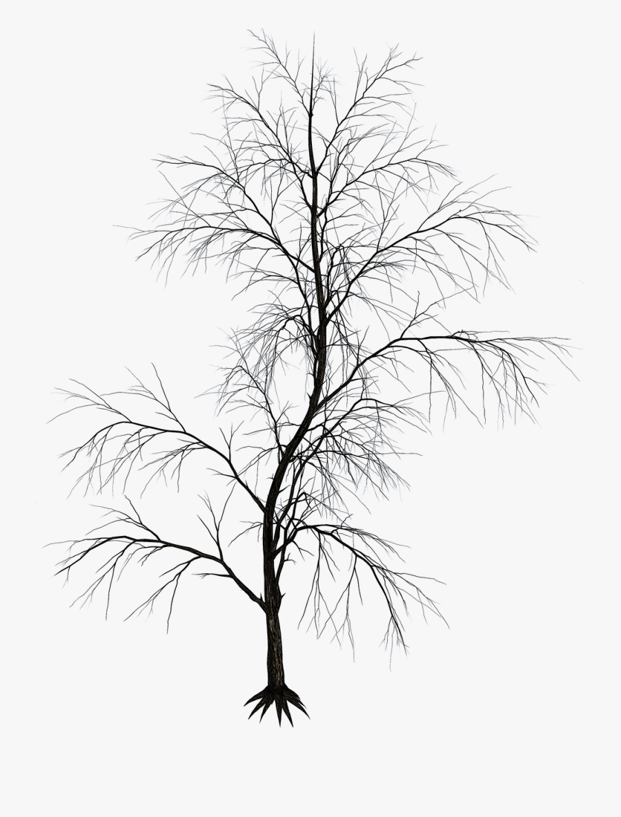 Aesthetic Black White Png, Transparent Clipart