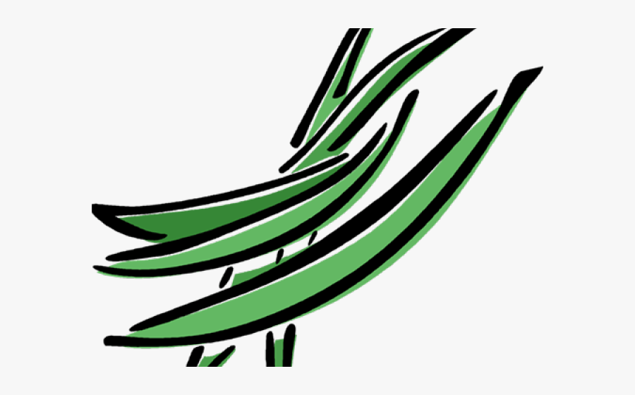 Green Bean Cliparts - Clip Art Green Beans, Transparent Clipart