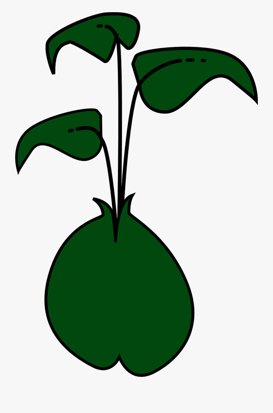 Plant - Bean Sprouts Clip Art, Transparent Clipart
