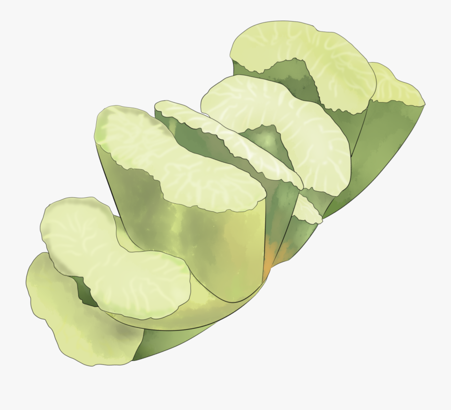 Transparent Peas Clipart - Illustration, Transparent Clipart