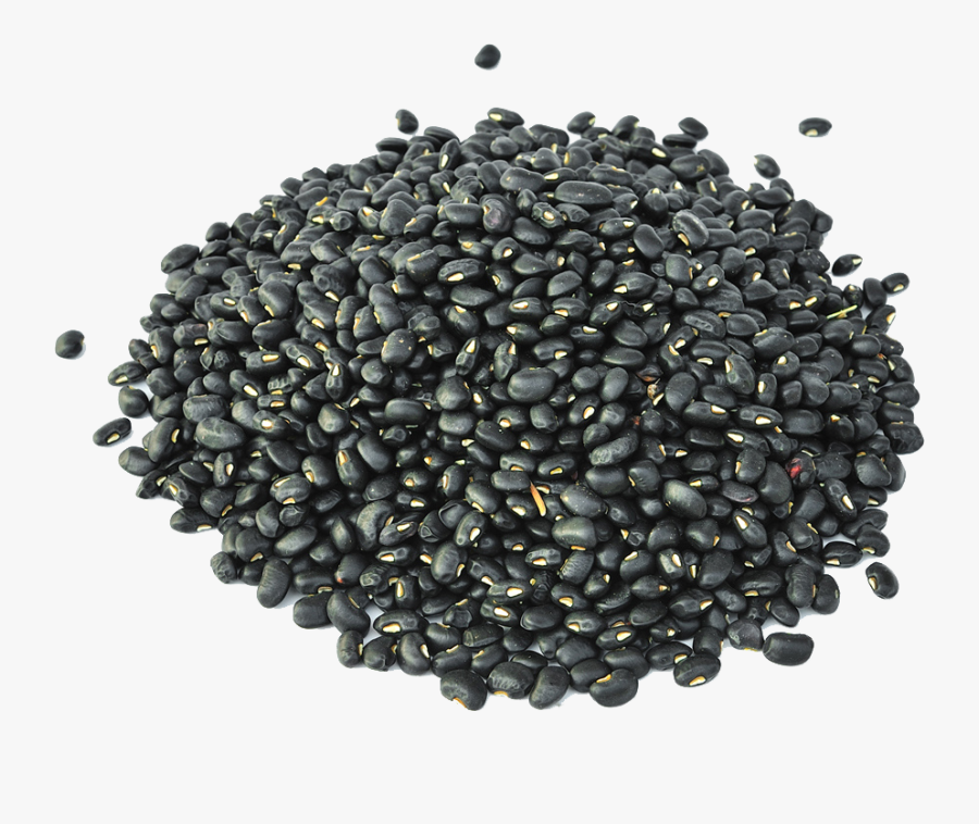 Black Turtle Bean Minestrone Sprouting - Frijoles Negros, Transparent Clipart