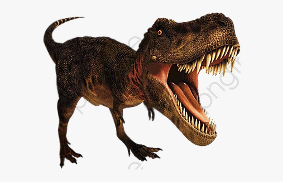 Roaring Tyrannosaurus Rex, Animal Teeth, Long Tailed - T Rex Png, Transparent Clipart