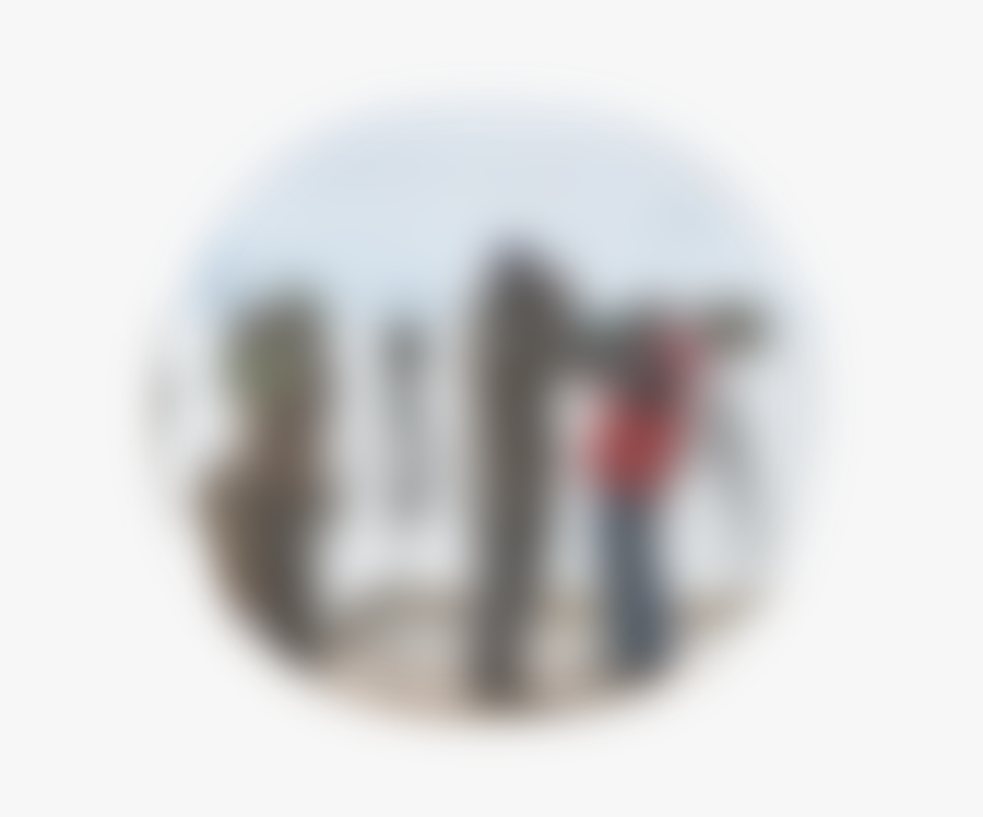 Macro Photography, Transparent Clipart