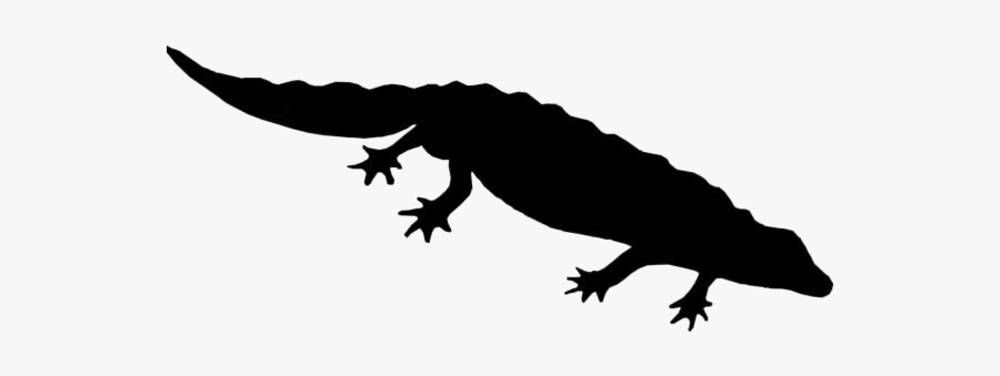 Salamander Png Free Clipart - Illustration, Transparent Clipart