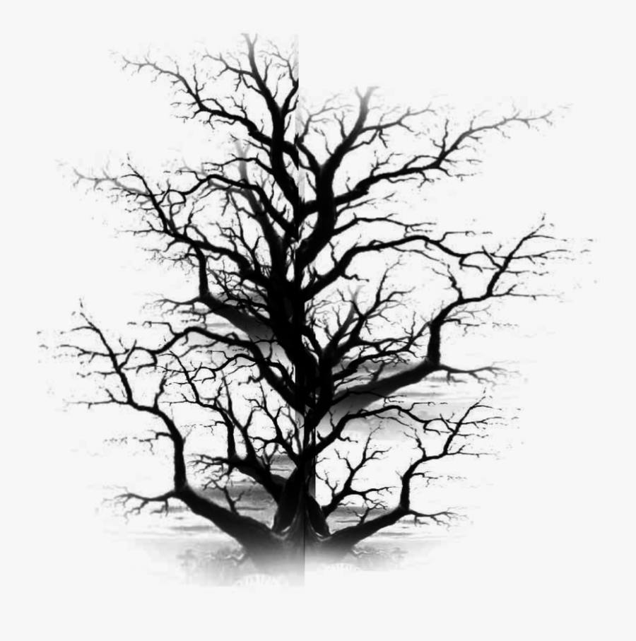 Dead Tree Clipart Old - Hd Dead Tree Png, Transparent Clipart