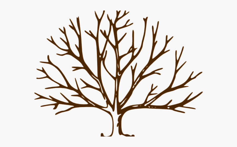 Draw A Winter Tree, Transparent Clipart