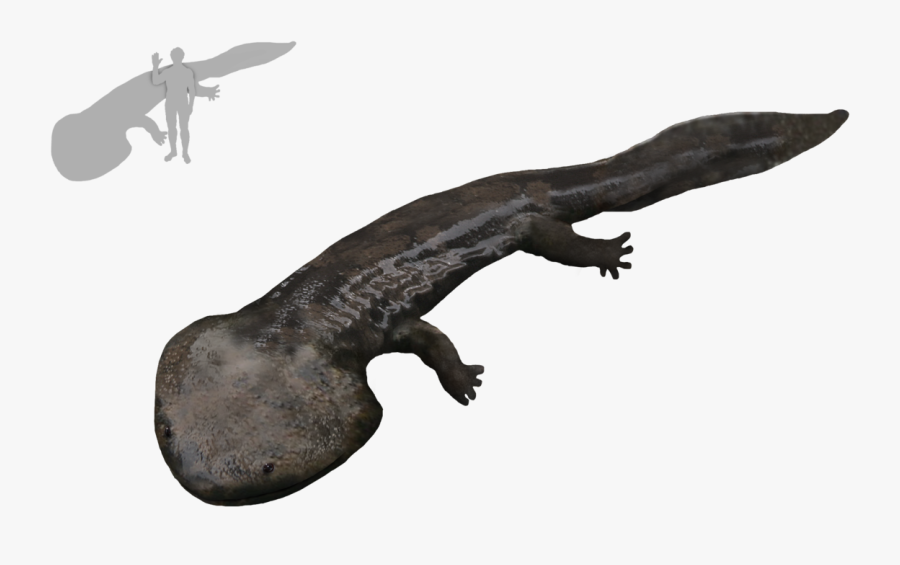 Clip Art Koolasuchus Wikipedia - Koolasuchus Size, Transparent Clipart