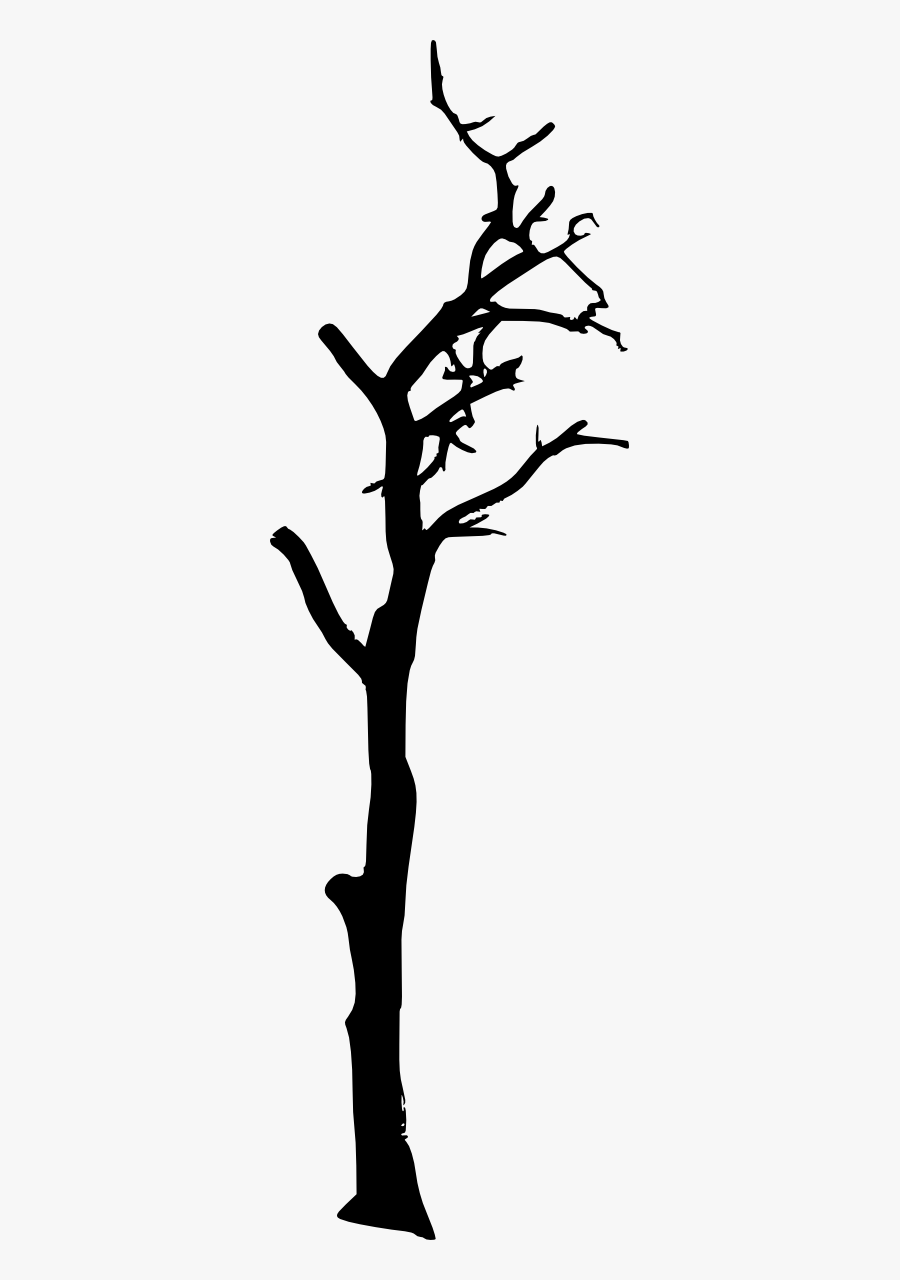 Dead Branches Clipart, Transparent Clipart