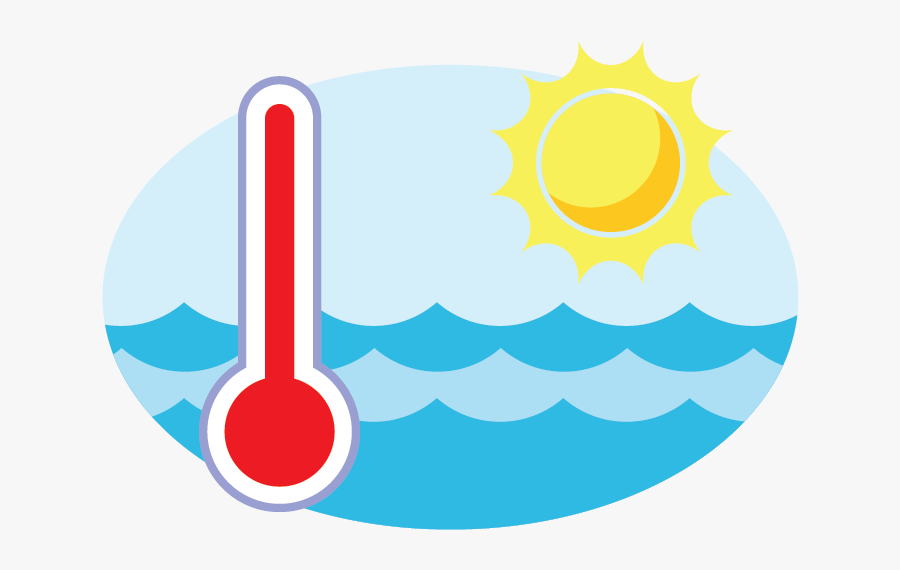 Circle, Transparent Clipart