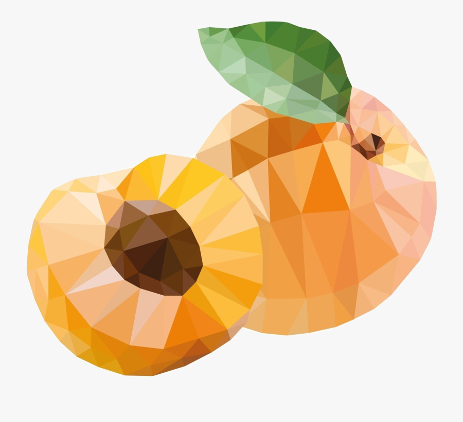 Apricot Stone, Transparent Clipart