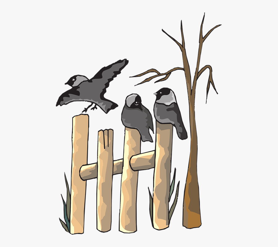 Cuckoo Clipart Bird On Tree - Bird On A Fence Cartoon, Transparent Clipart