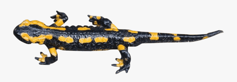 Figurine, Transparent Clipart