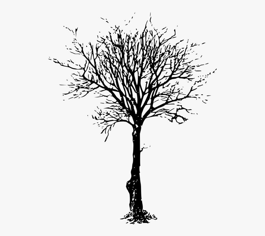 Dead Tree Png , Png Download - Tree Trunk Silhouette Png, Transparent Clipart