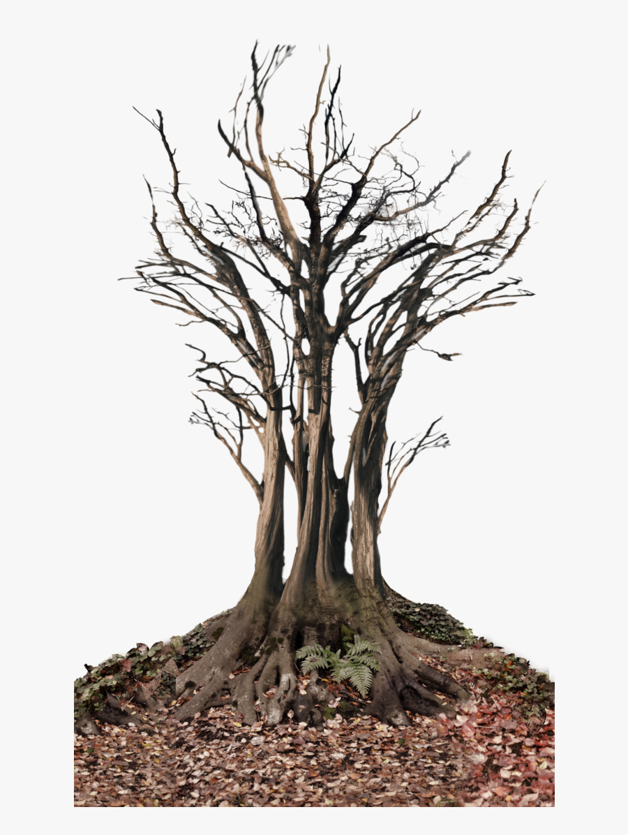 Dead Tree In Landscape Png St - Creepy Dead Tree Png, Transparent Clipart