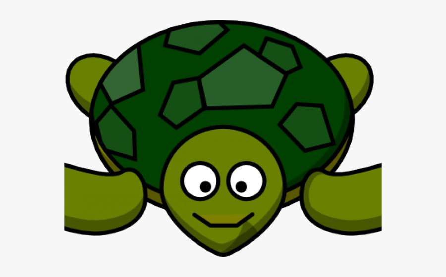 Turtle Looking Up Clipart, Transparent Clipart