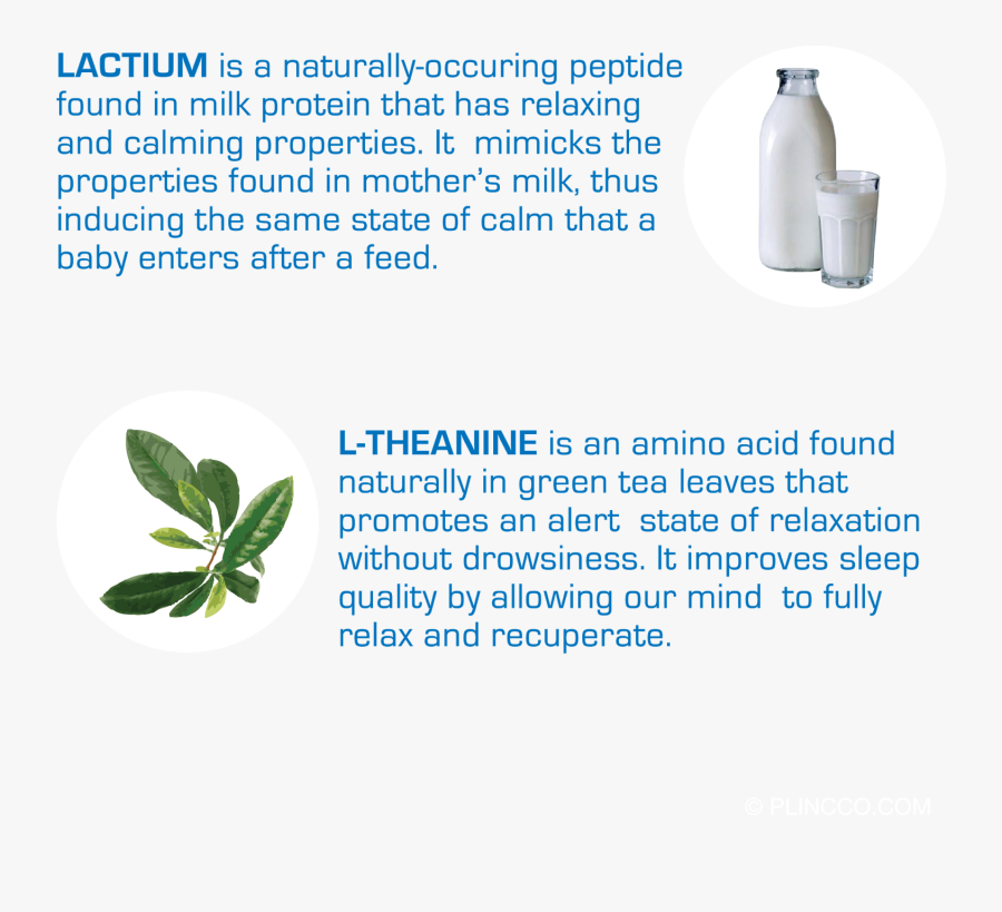 Transparent Gallon Of Milk Clipart - Milk, Transparent Clipart