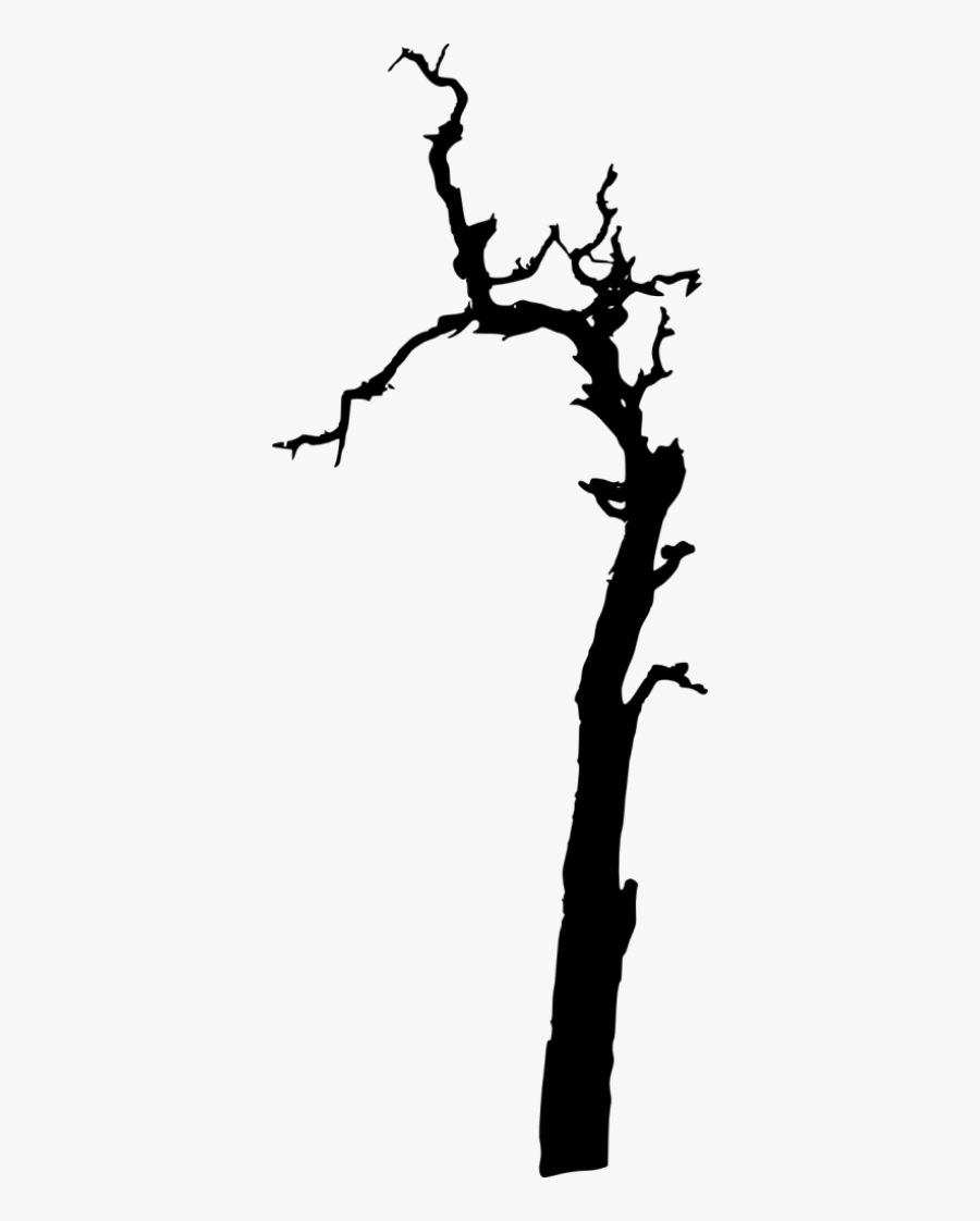Transparent White Tree Png - Dead Tree Silhouette Png, Transparent Clipart
