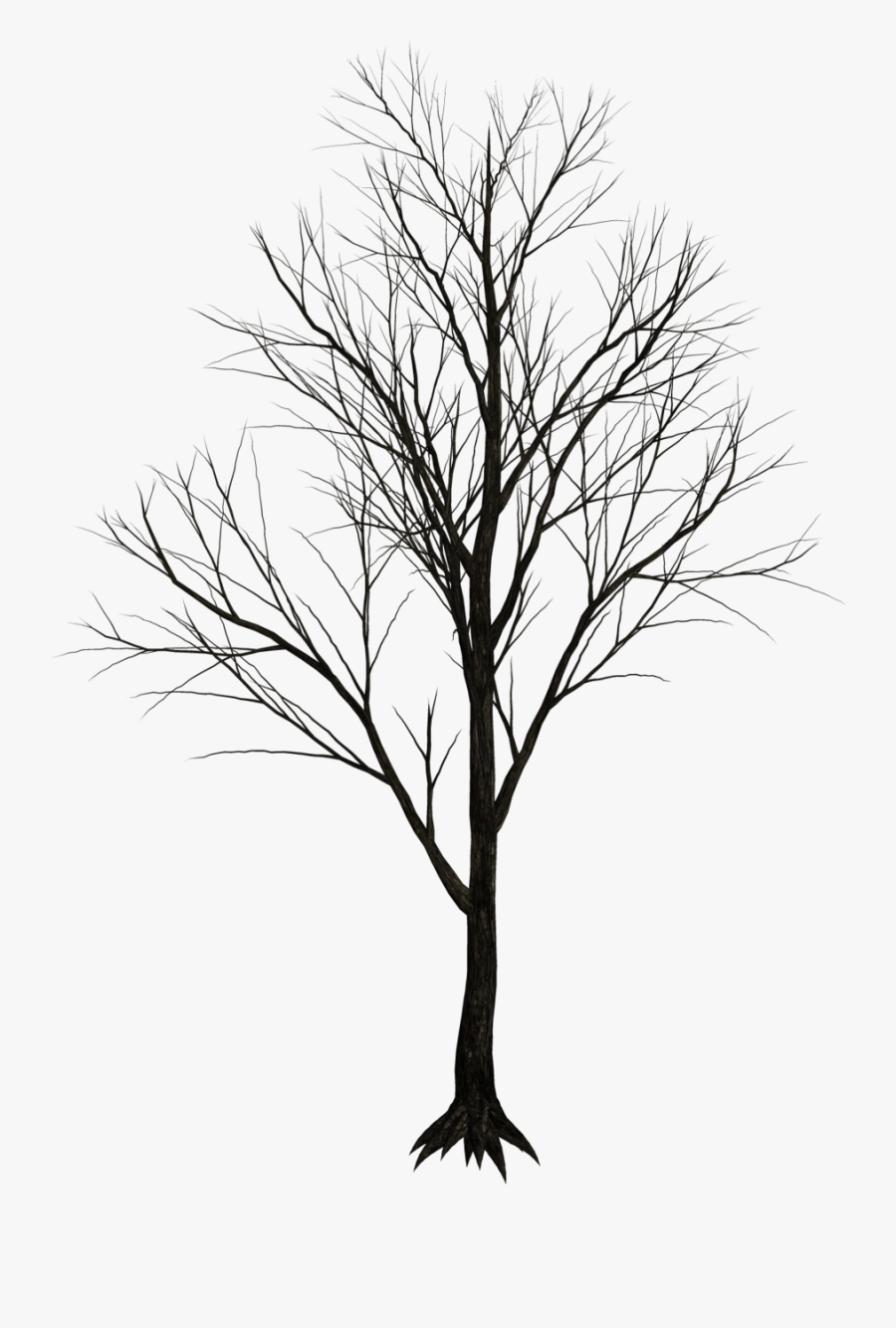 Clip Art Png For Free - Tree Png, Transparent Clipart